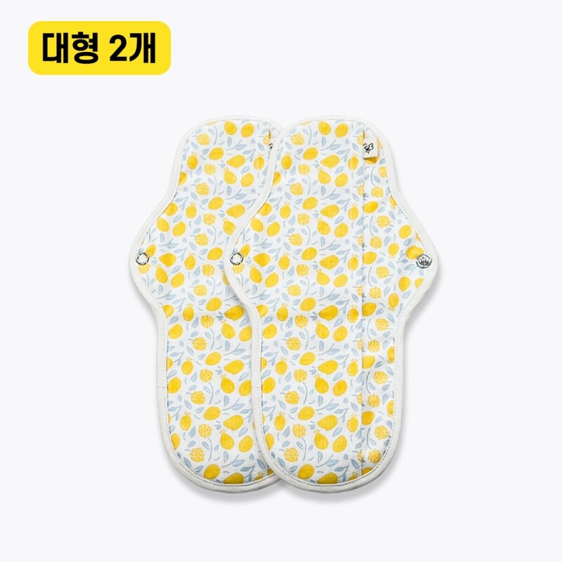 강원더몰,[퀸비 패드] 완벽 흡수 순면 생리대 대형 2개